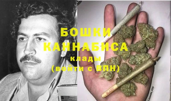 ПСИЛОЦИБИНОВЫЕ ГРИБЫ Абаза
