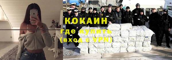 ПСИЛОЦИБИНОВЫЕ ГРИБЫ Абаза
