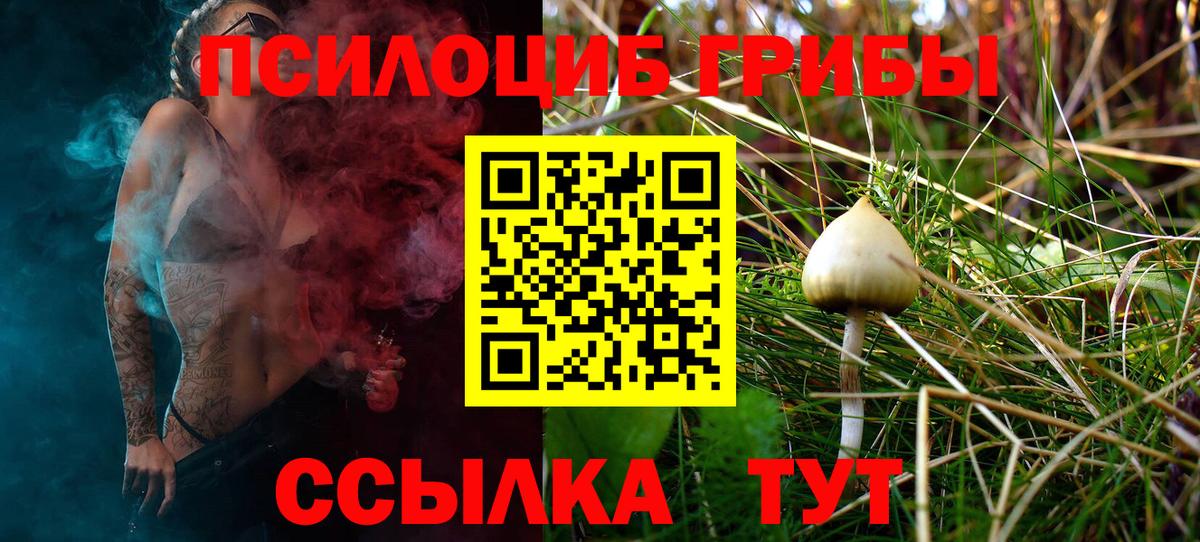 Павловский Посад  Галлюциногенные грибы Cubensis  Псилоцибиновые грибы мицелий  Вход с VPN 