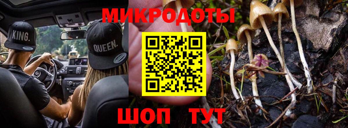 Галлюциногенные грибы мухоморы Павловский Посад